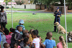 Plant Hire | In-Mart