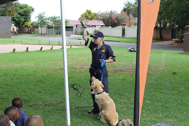 Plant Hire | In-Mart