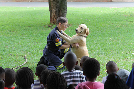Plant Hire | In-Mart