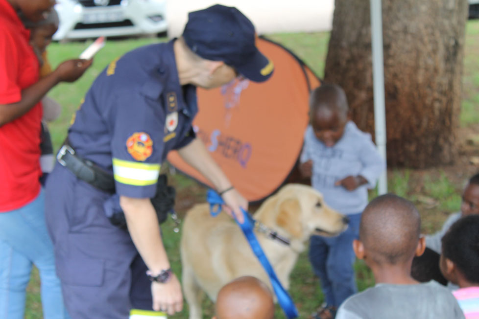 Plant Hire | In-Mart