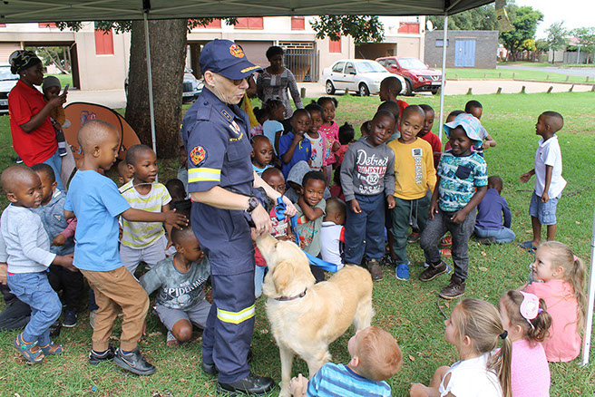 Plant Hire | In-Mart